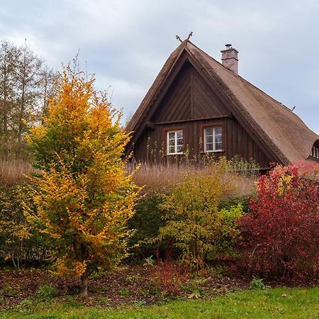Exklusives Holzhaus Villa Burg  Buitenkant foto