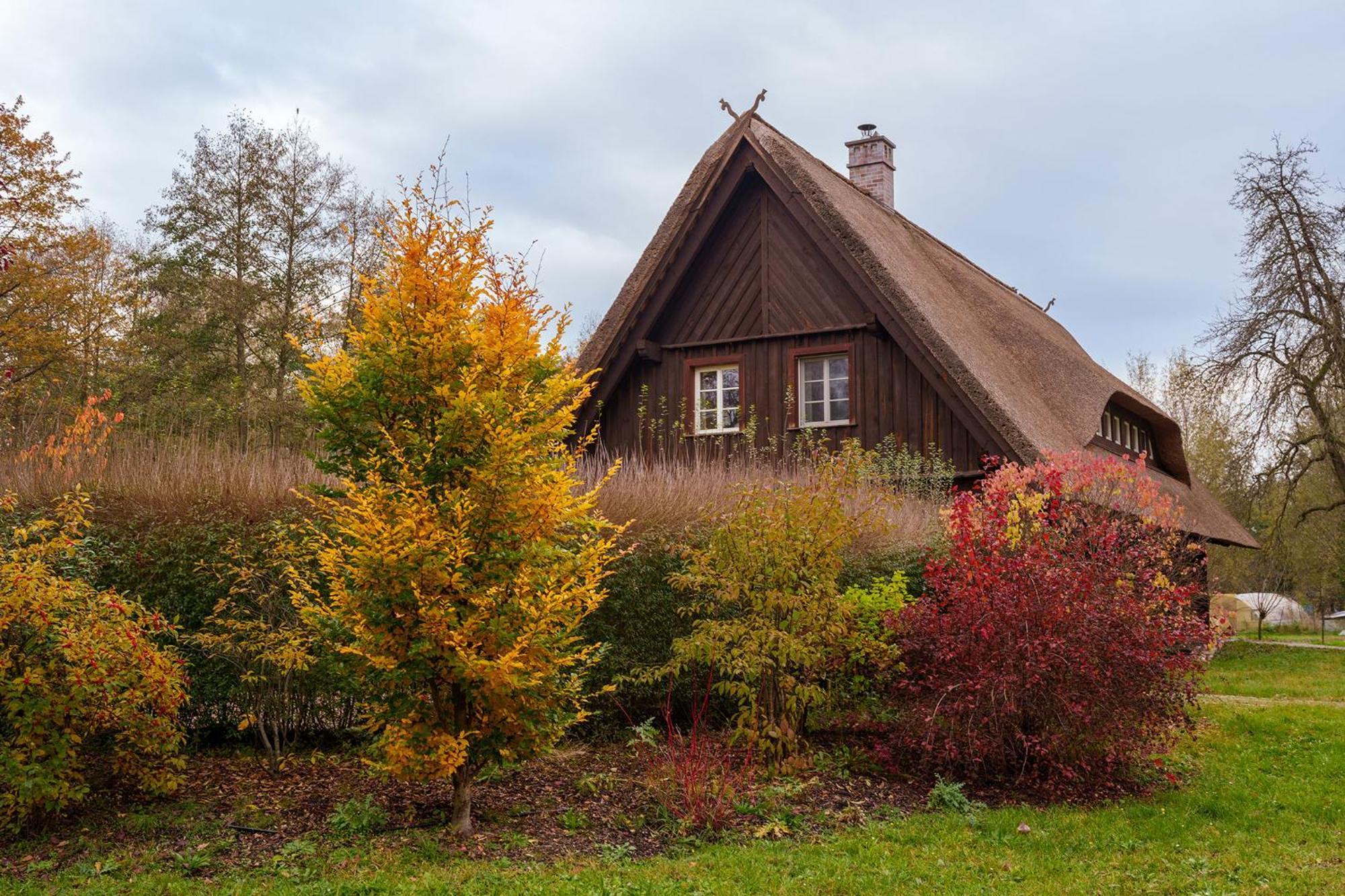 Exklusives Holzhaus Villa Burg  Buitenkant foto