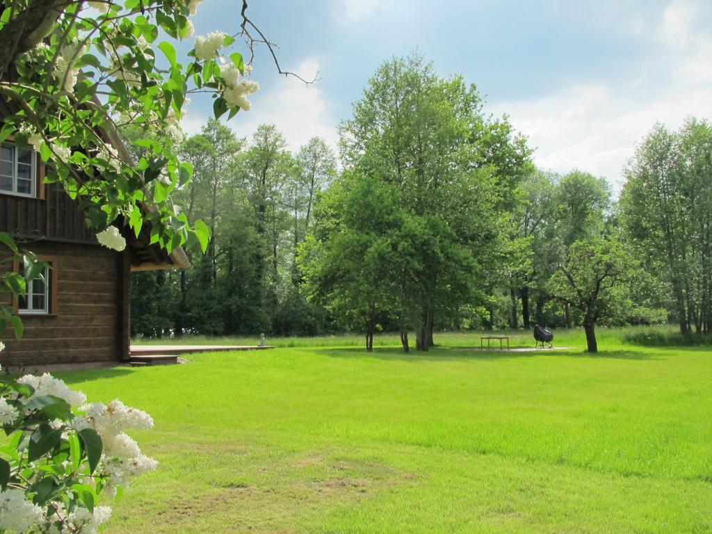 Exklusives Holzhaus Villa Burg  Kamer foto